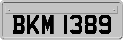 BKM1389