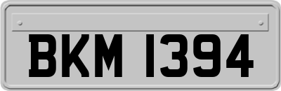 BKM1394