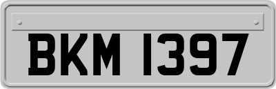 BKM1397