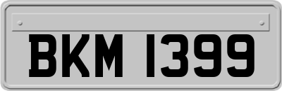 BKM1399