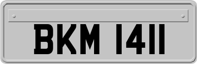 BKM1411