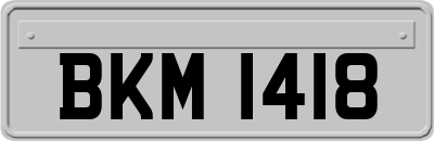 BKM1418