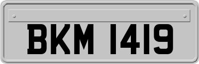 BKM1419