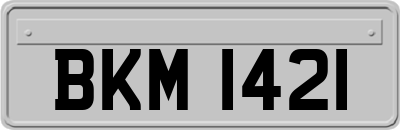 BKM1421