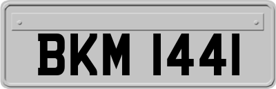 BKM1441