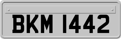 BKM1442