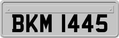 BKM1445