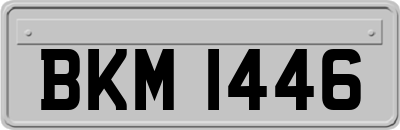 BKM1446