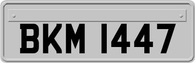 BKM1447