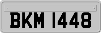 BKM1448