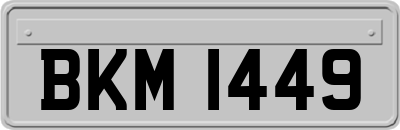 BKM1449