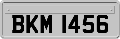 BKM1456
