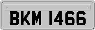 BKM1466
