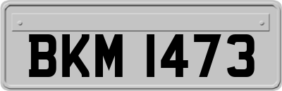 BKM1473