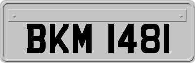 BKM1481