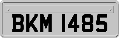 BKM1485