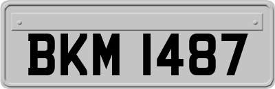 BKM1487
