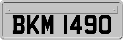 BKM1490
