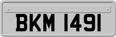 BKM1491