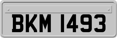 BKM1493