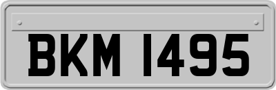 BKM1495