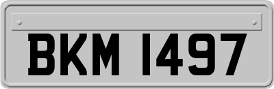 BKM1497