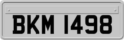 BKM1498