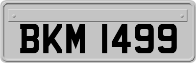 BKM1499