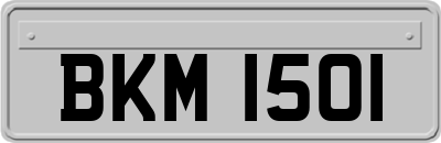 BKM1501