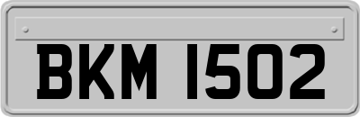 BKM1502