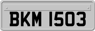 BKM1503
