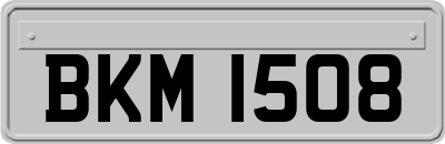 BKM1508