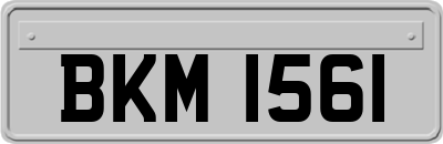 BKM1561