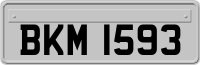 BKM1593