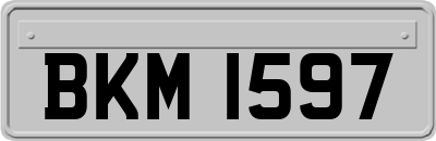 BKM1597