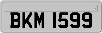 BKM1599