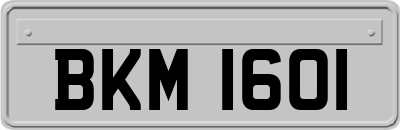 BKM1601