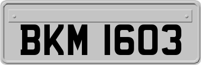 BKM1603