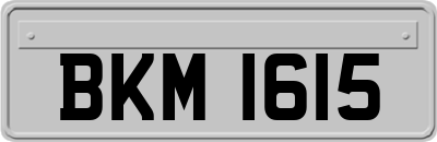 BKM1615