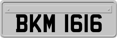 BKM1616