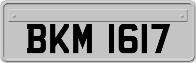 BKM1617