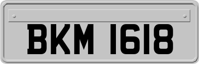 BKM1618