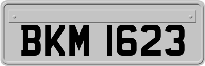 BKM1623