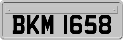 BKM1658