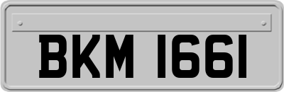 BKM1661