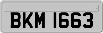 BKM1663