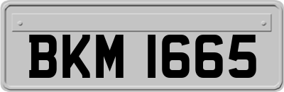 BKM1665