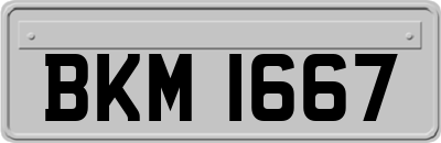 BKM1667