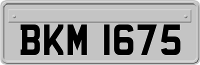 BKM1675