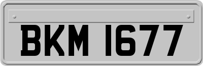 BKM1677